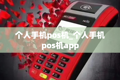 个人手机pos机_个人手机pos机app