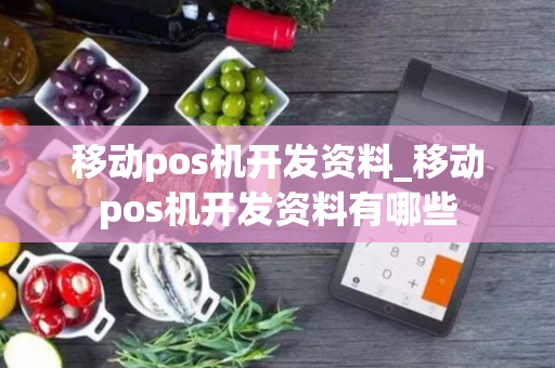 移动pos机开发资料_移动pos机开发资料有哪些