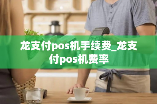 龙支付pos机手续费_龙支付pos机费率