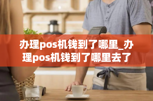 办理pos机钱到了哪里_办理pos机钱到了哪里去了