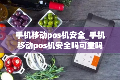 手机移动pos机安全_手机移动pos机安全吗可靠吗