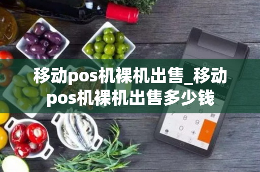 移动pos机裸机出售_移动pos机裸机出售多少钱