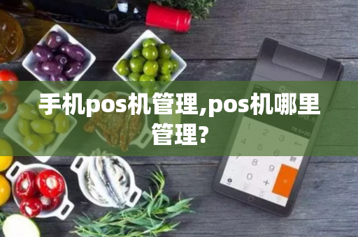 手机pos机管理,pos机哪里管理?