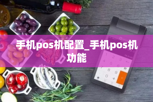 手机pos机配置_手机pos机功能