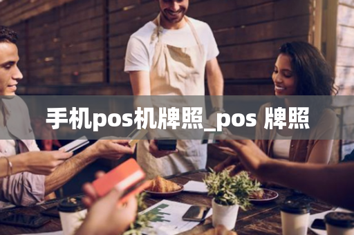 手机pos机牌照_pos 牌照