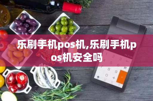 乐刷手机pos机,乐刷手机pos机安全吗