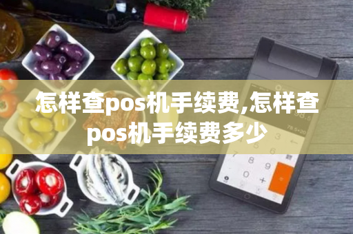 怎样查pos机手续费,怎样查pos机手续费多少