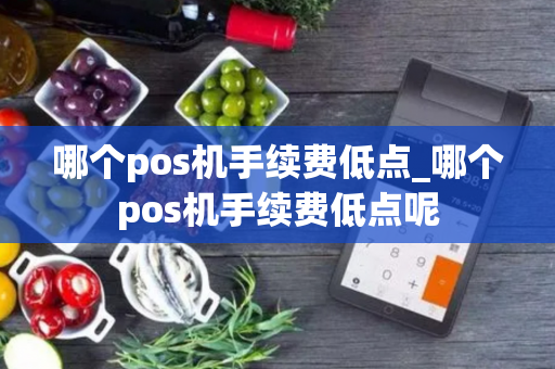 哪个pos机手续费低点_哪个pos机手续费低点呢