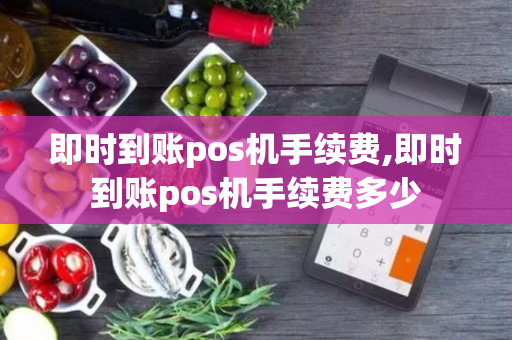 即时到账pos机手续费,即时到账pos机手续费多少