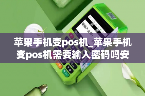 苹果手机变pos机_苹果手机变pos机需要输入密码吗安全吗