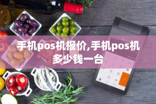 手机pos机报价,手机pos机多少钱一台