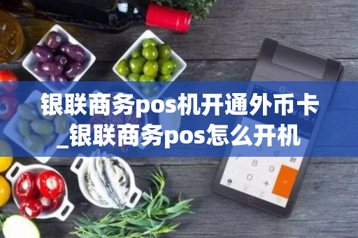 银联商务pos机开通外币卡_银联商务pos怎么开机