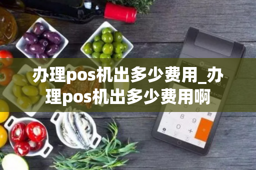 办理pos机出多少费用_办理pos机出多少费用啊