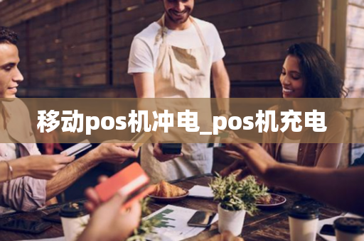 移动pos机冲电_pos机充电