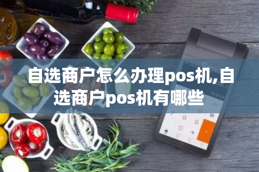 自选商户怎么办理pos机,自选商户pos机有哪些