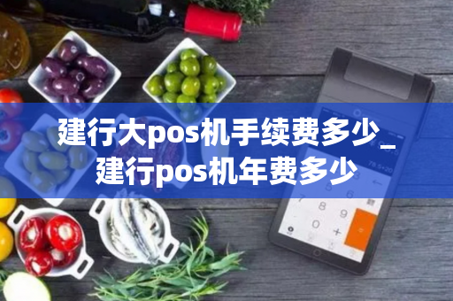 建行大pos机手续费多少_建行pos机年费多少