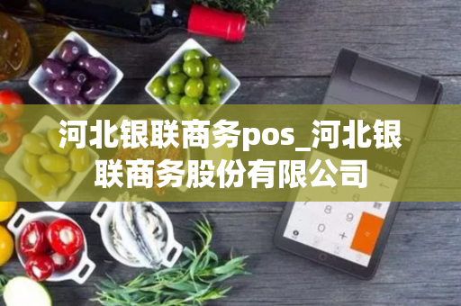 河北银联商务pos_河北银联商务股份有限公司