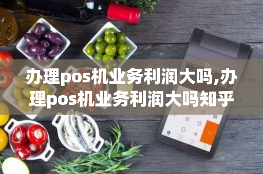 办理pos机业务利润大吗,办理pos机业务利润大吗知乎