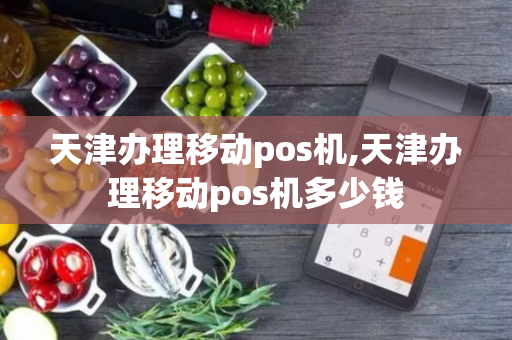 天津办理移动pos机,天津办理移动pos机多少钱