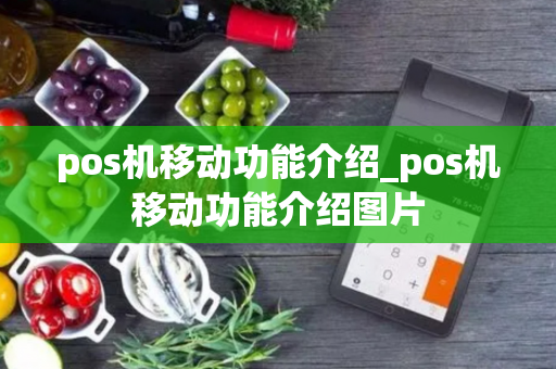 pos机移动功能介绍_pos机移动功能介绍图片