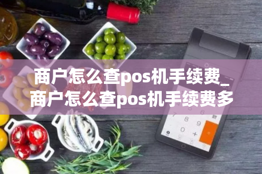 商户怎么查pos机手续费_商户怎么查pos机手续费多少