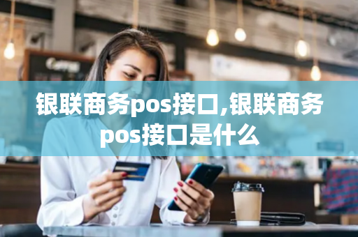 银联商务pos接口,银联商务pos接口是什么