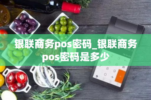 银联商务pos密码_银联商务pos密码是多少