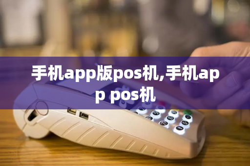 手机app版pos机,手机app pos机