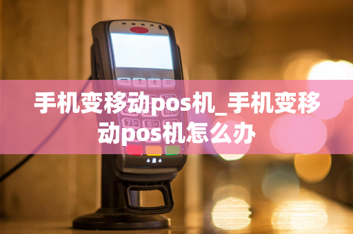 手机变移动pos机_手机变移动pos机怎么办