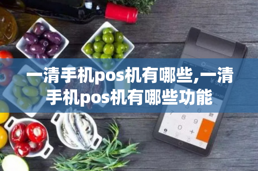 一清手机pos机有哪些,一清手机pos机有哪些功能