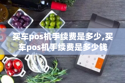 买车pos机手续费是多少,买车pos机手续费是多少钱