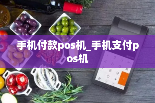 手机付款pos机_手机支付pos机