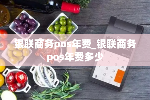 银联商务pos年费_银联商务pos年费多少