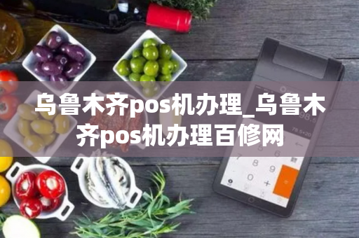 乌鲁木齐pos机办理_乌鲁木齐pos机办理百修网