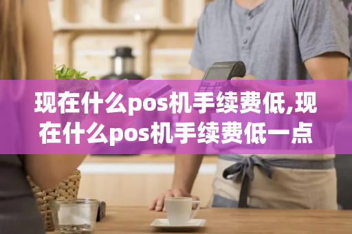 现在什么pos机手续费低,现在什么pos机手续费低一点