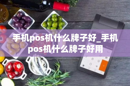 手机pos机什么牌子好_手机pos机什么牌子好用