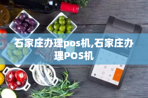 石家庄办理pos机,石家庄办理POS机