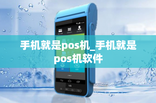 手机就是pos机_手机就是pos机软件