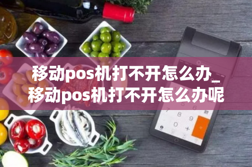 移动pos机打不开怎么办_移动pos机打不开怎么办呢