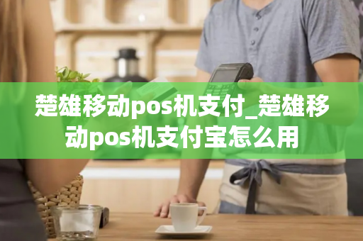 楚雄移动pos机支付_楚雄移动pos机支付宝怎么用