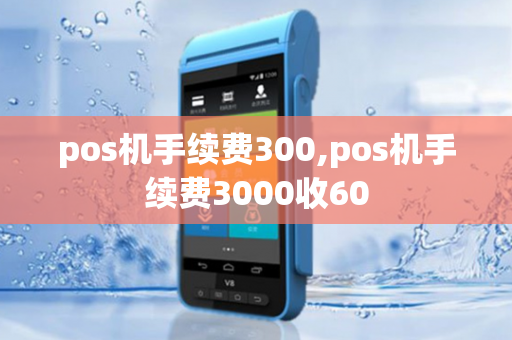 pos机手续费300,pos机手续费3000收60