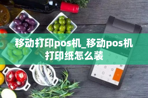 移动打印pos机_移动pos机打印纸怎么装