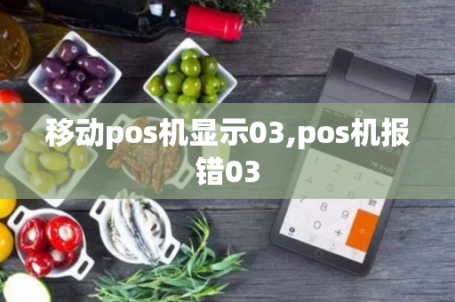 移动pos机显示03,pos机报错03