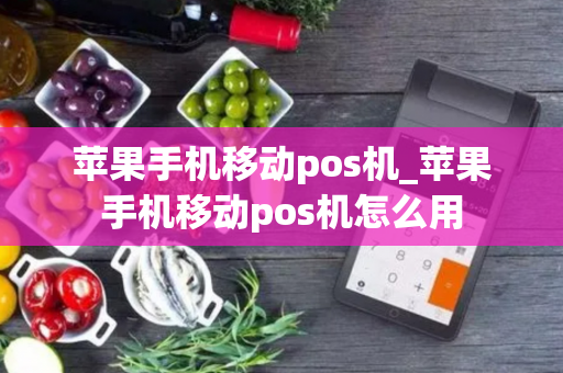 苹果手机移动pos机_苹果手机移动pos机怎么用