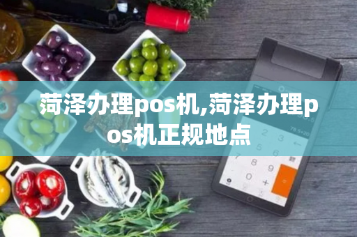 菏泽办理pos机,菏泽办理pos机正规地点