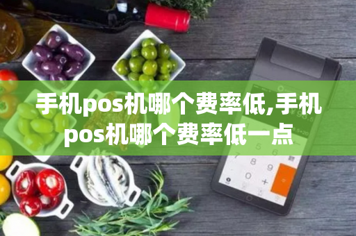 手机pos机哪个费率低,手机pos机哪个费率低一点