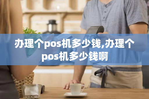 办理个pos机多少钱,办理个pos机多少钱啊