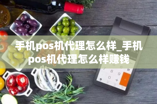 手机pos机代理怎么样_手机pos机代理怎么样赚钱