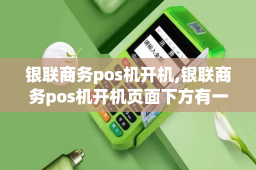 银联商务pos机开机,银联商务pos机开机页面下方有一串数字怎么回事