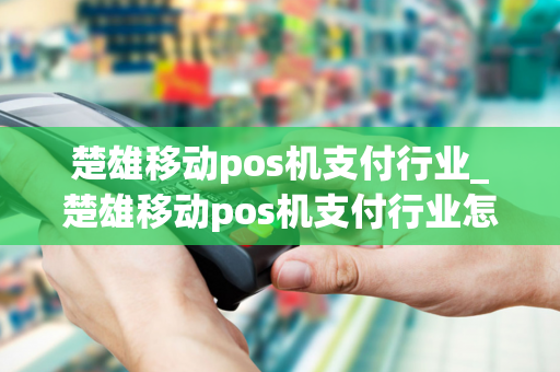 楚雄移动pos机支付行业_楚雄移动pos机支付行业怎么样